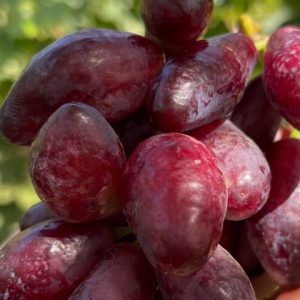 Полтавський манікюр Виноград Полтавський манікюр