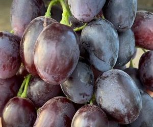 Виноград Агата