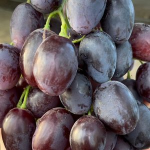 Виноград Агата
